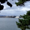 DSCF6365.JPG