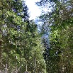 DSCF6433.JPG