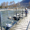 DSCF6508.JPG